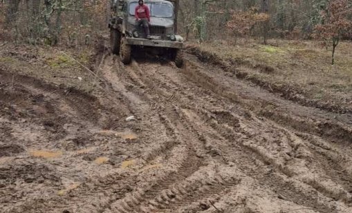 Историческата местност Петрова нива е превърната в дърводобивен терен, алармира кмет