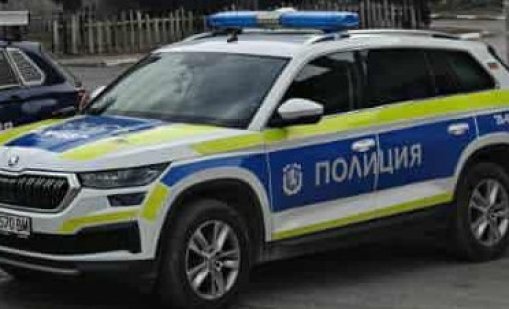 Арест за двама мъже за смъртта на кучета в Пернишко