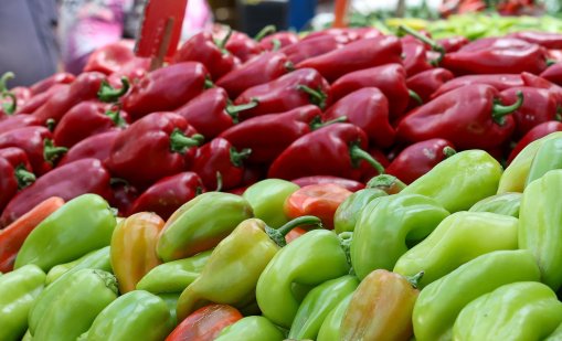 На борсата: Пресните зеленчуци поскъват, най-много чушки и корнишони