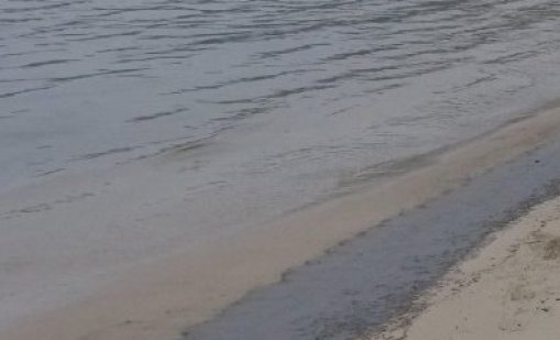 Община Поморие: Няма нефтени разливи на плажовете ни