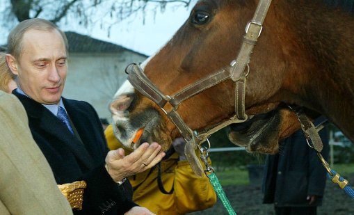 На фона на кризата с горивата: Продажбите на коне в Русия скочиха