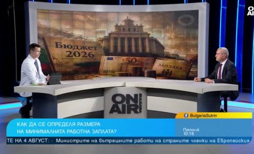 Иван Кръстев: Отмяната на механизма за МРЗ е сериозна грешка