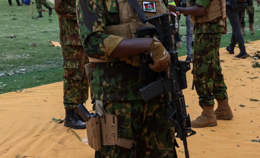 Арестуваха мъж, опитал да изнесе от Кения над 2200 живи мравки в багажа си