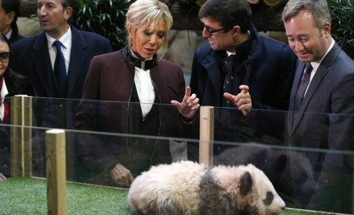 В Китай: Брижит Макрон посети гигантска панда, родена във Франция