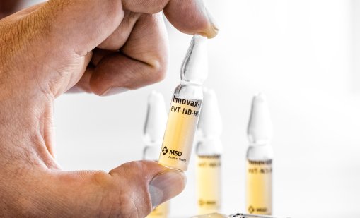 Хоспитализираха американец с щам на птичи грип, неоткриваем досега при хора