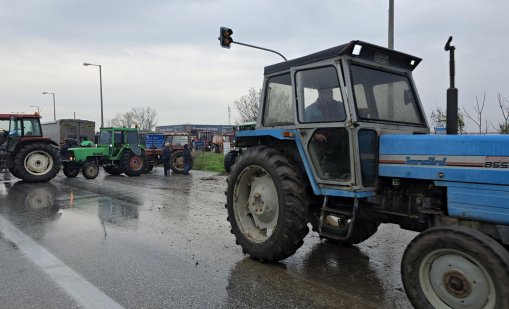Йоана Лалова за протеста на гръцките фермери: Загуба за милиони, няма реакция от България 