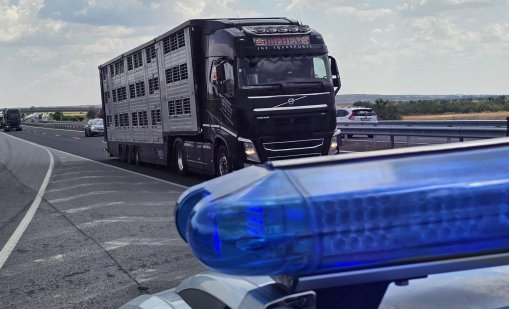 Ограничават се ТИР-овете по магистралите следобед в неделя и петък