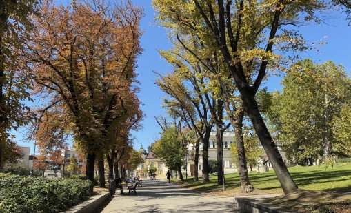 Слънцето се показва утре, температурите до 21°