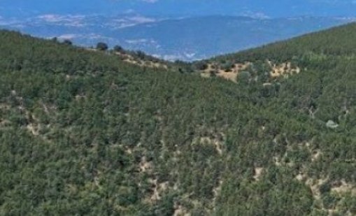 Отлични са условията за туризъм в планините
