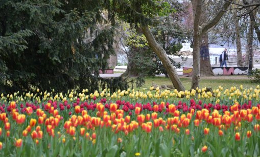 Слънчево ще е времето на Цветница, температурите до 20&deg;