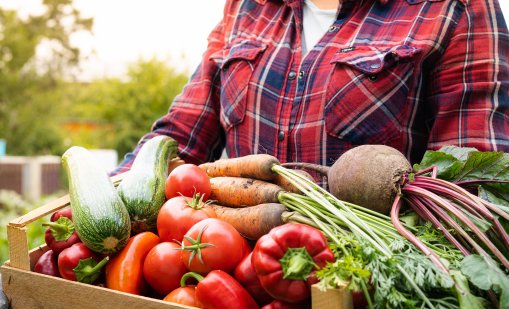 Топ нискогликемични храни за баланс на кръвната захар