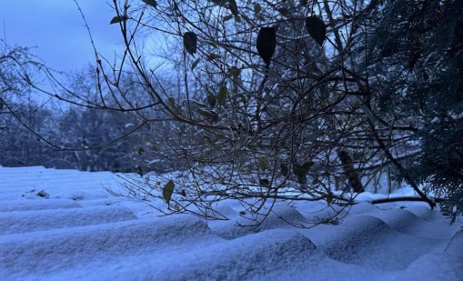 Студ и интензивни снеговалежи в неделя в цялата страна