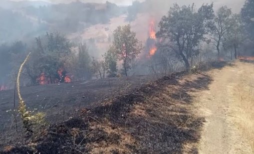 Голям пожар край АМ &bdquo;Струма&ldquo;, мъж е с тежки изгаряния