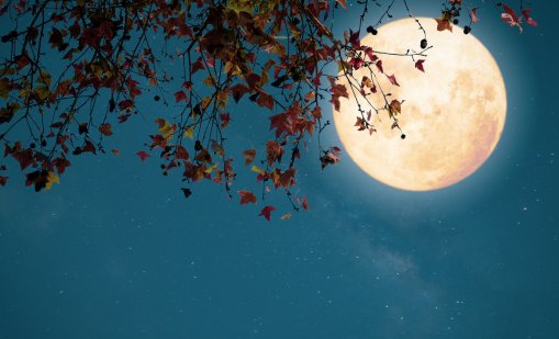 Бобърската луна сбъдва мечтите на тези зодии