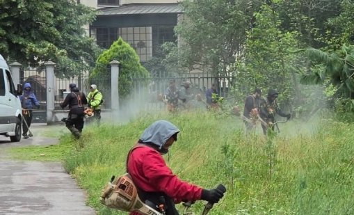 Терзиев: За 10 дни са извозени близо 300 т растителни отпадъци от парк-музей "Врана"