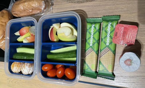БАБХ със засилени проверки на продуктите по "Училищно мляко" и "Училищен плод"
