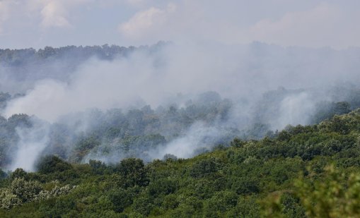 Пожарът над костинбродското село Опицвет пак се разгоря 