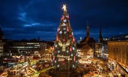 Къде се намира най-високата коледна елха в света 