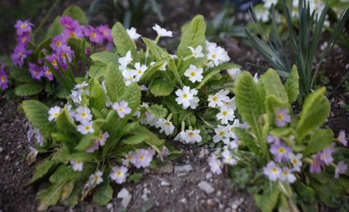 Слънчево ще е днес, с температури до 15&deg;