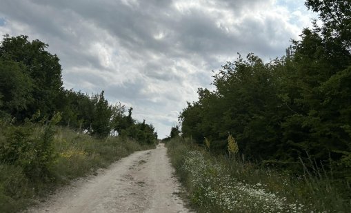 Директор на зоопарк призна: Не изключвам летален изход за хищника в Шуменското плато