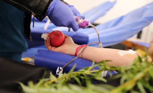 ВМА организира акция за кръводаряване на Цветница