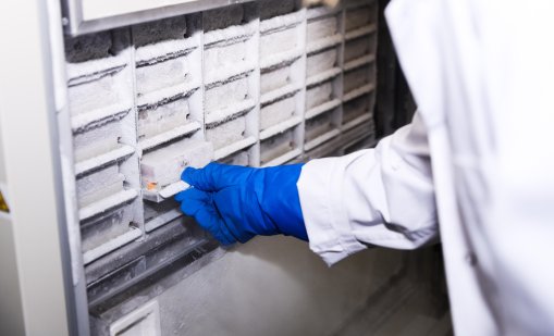 Свръхпреработените храни може да влошат концентрацията и повишат риска от деменция