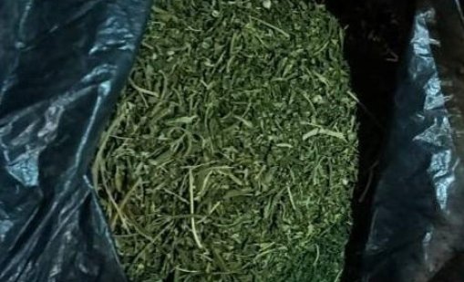 Задържаха четирима души с над килограм марихуана в София 