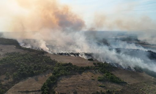 Пожар край Боаза обхвана около 15 декара сухи треви и храсти