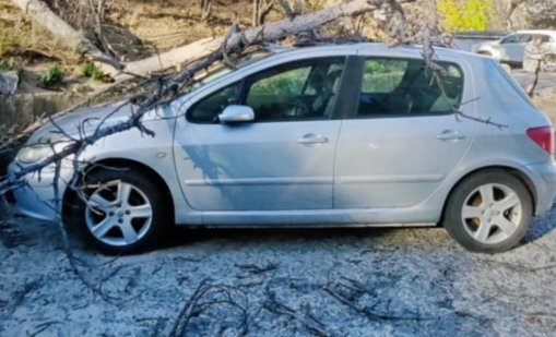 Бурните ветрове нанесоха материални щети, на места поривите са били над 100 км/ч