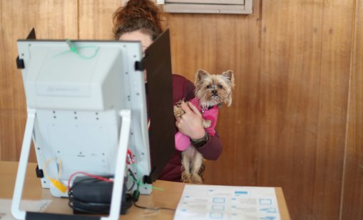 Избирателната активност у нас гони 40%