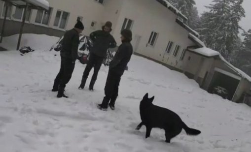 След погребението на Ивей: Прокуратурата освободи телата и на другите две жертви от х. Петрохан