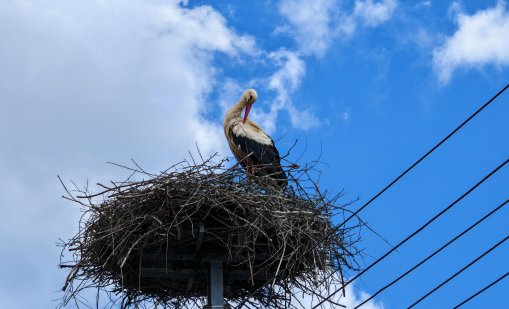 Слънчево и топло ще е днес, с температури до 25&deg;