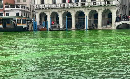 Водата в Канале Гранде позеленя заради Грета Тунберг и дружина ВИДЕО