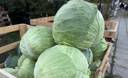 На борсите: Цените на повечето храни растат и тази седмица