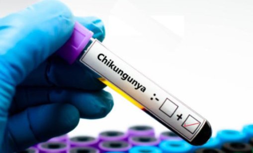 Втори случай на чикунгуня - пловдивчанка се заразила на Сейшелите