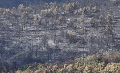 В района на община Струмяни няма активни огнища
