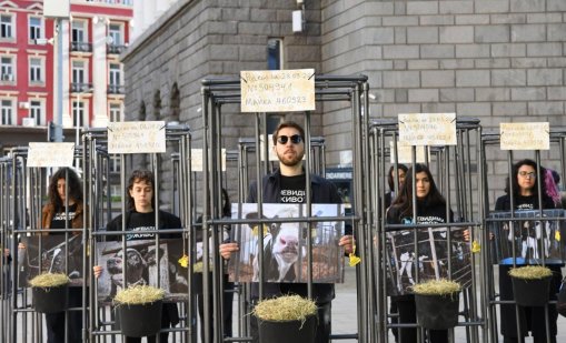В защита на телетата: хора в клетки посрещнаха депутатите СНИМКИ