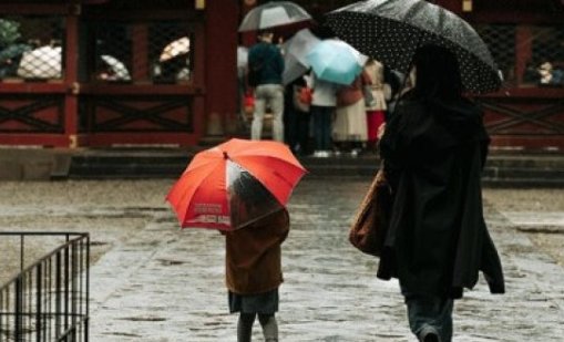 Много дъждовен четвъртък, оранжев код в 7 области