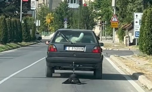 Задържаха изверг в Банско, влачил с колата си куче