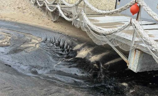 РЗИ - Бургас: Морската вода е чиста въпреки сигналите за мазут
