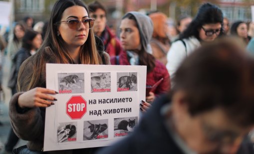 София и Варна протестира срещу насилието над животни