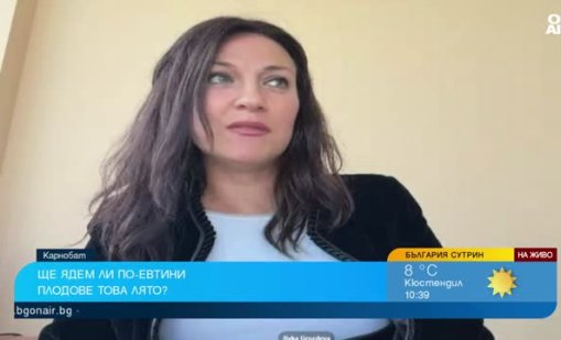 Ядем най-скъпите череши, килограмът ще бъде между 10 и 15 евро