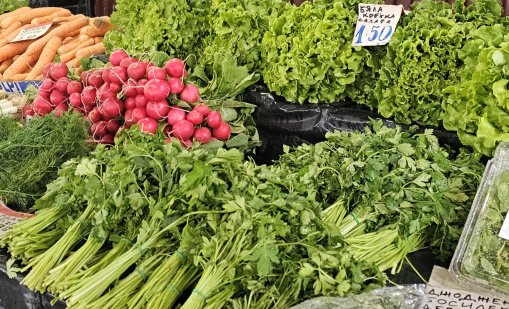 С 20-30% под средното за света е производството на зеленчуци у нас