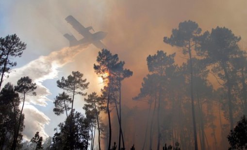 Голям пожар бушува до Мадрид, димът стигна до града