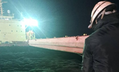 БАБХ: Открити са пестициди в слънчогледа от Аржентина и от втория кораб