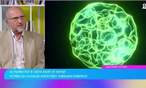 Създадоха изкуствен човешки ембрион, способен да развива собствени органи