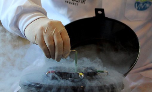 В Гърция семейство с 3 деца от един и същ датски донор е загубило едно дете от рак