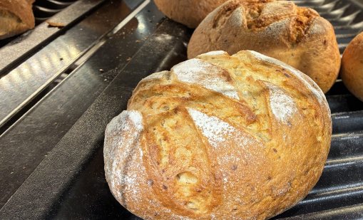 Кукушева: Сивият сектор при хляба наближава критичните 40-42%