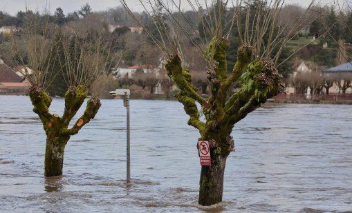 Силна буря във Франция взе жертва