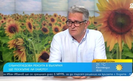 Горещото и сухо лято продължава, ще удари ли цената на олиото?